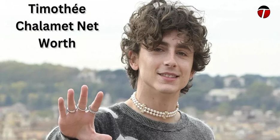 Timothée Chalamet Net Worth