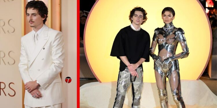 timothee-chalamet-net-worth