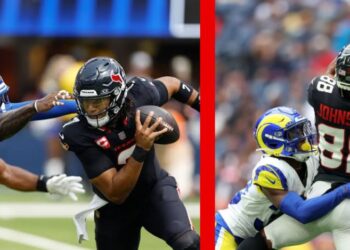 Houston Texans vs Los Angeles Rams Match Player Stats