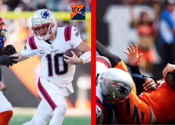 New England Patriots vs Bengals Match Player Stats