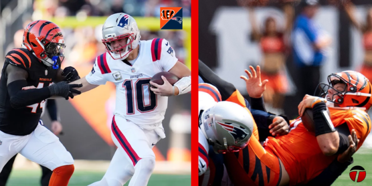 New England Patriots vs Bengals Match Player Stats